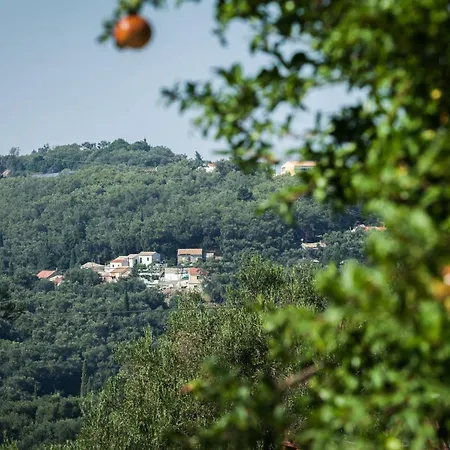 Perfect Escape Luxurious Anastasia Tranquil Retreat In Greece *